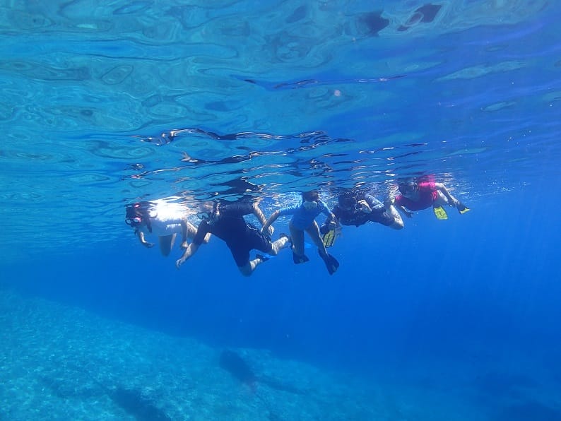 Snorkle en Islas Columbretes