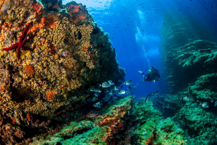 Buceo en Benidorm