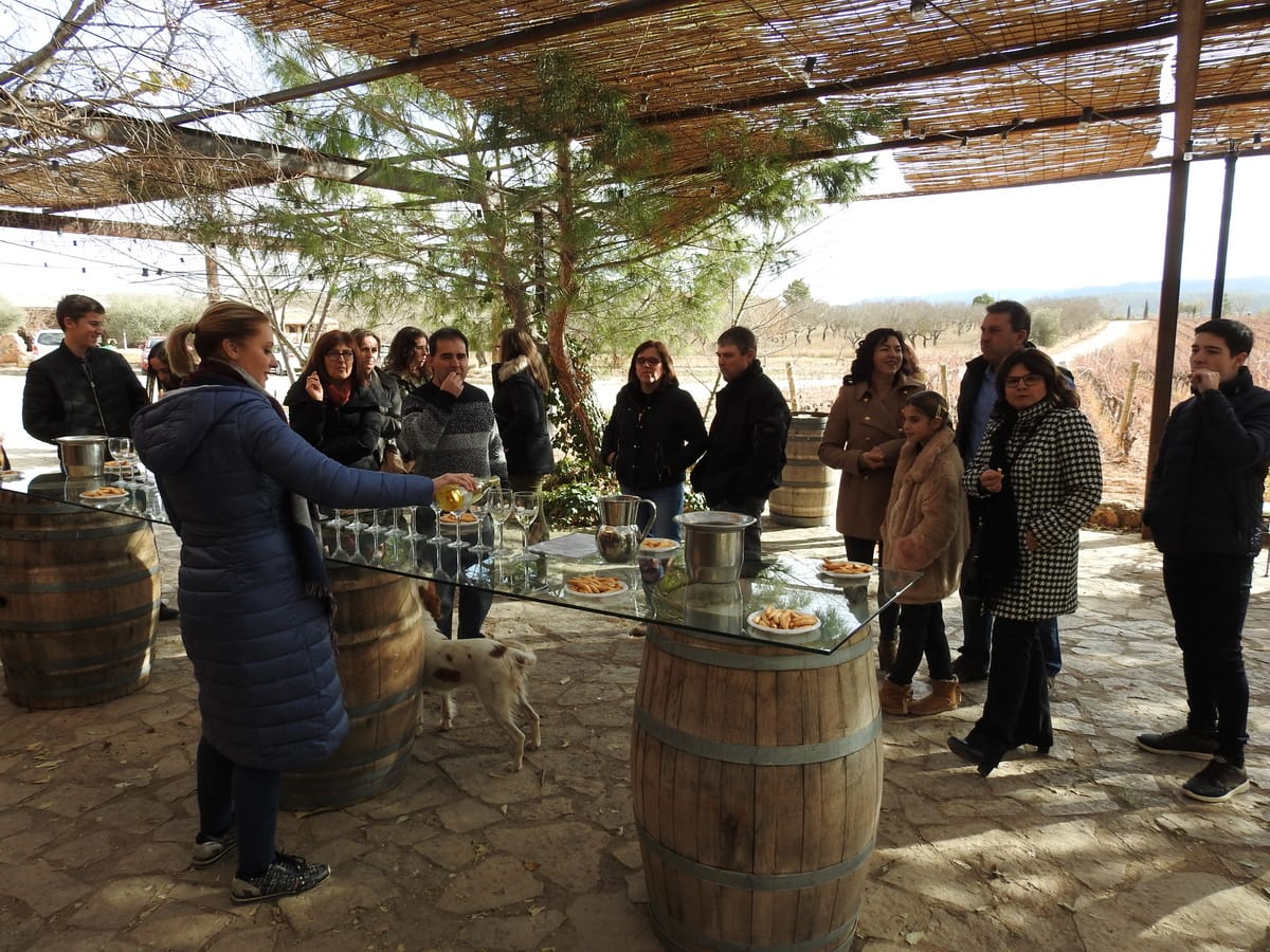 Bodegas Barón D'Alba