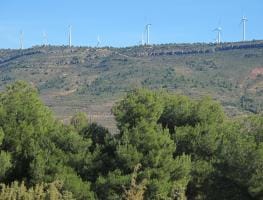 imagen paisaje Aras de los Olmos