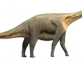 Losillasaurus