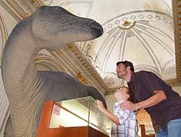 Museo de Dinosaurios de Morella