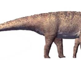 Turiasaurus