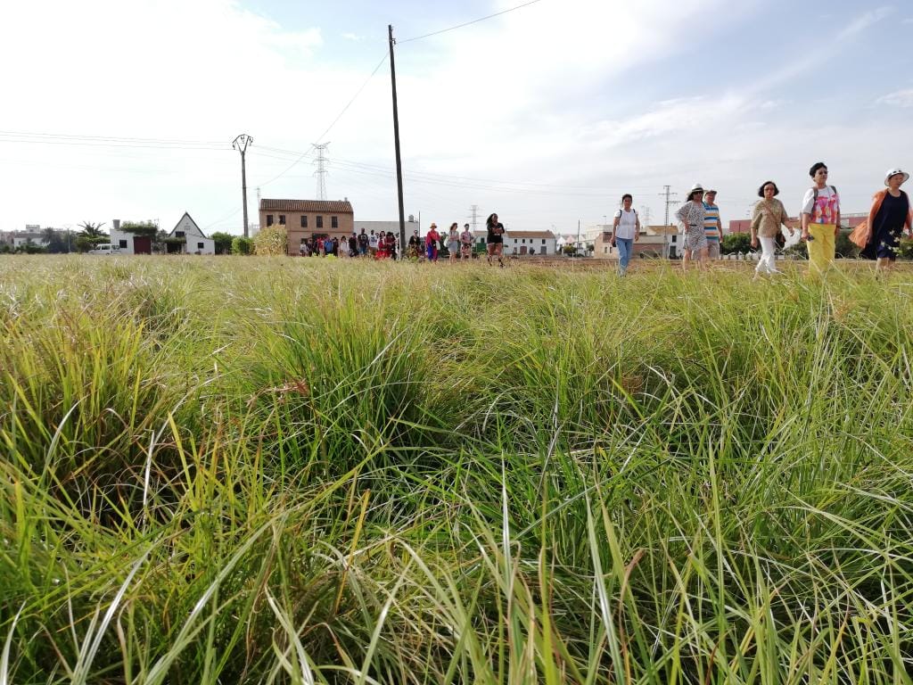 Rutas por la huerta valenciana