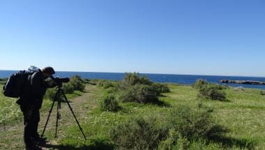 Birding en Tabarca