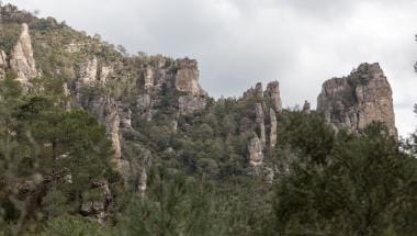 Tineça de Beni.