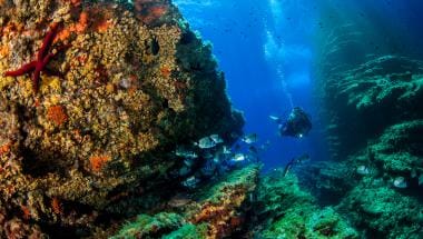 inmersión buceo isla benidorm