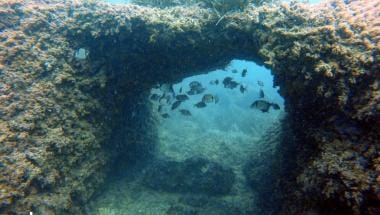 les termes xabia buceo