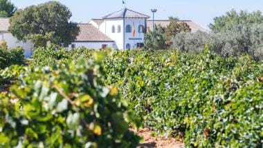 Bodega Pago de Tharsys - Requena