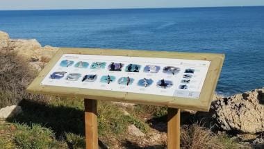 Panel interpretativo aves para observar desde el cabo del Faro de Cullera