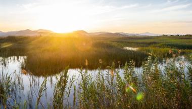 touristinfo, marjal, aves, birding