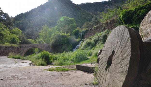 Senderismo en la Selva de Espadán