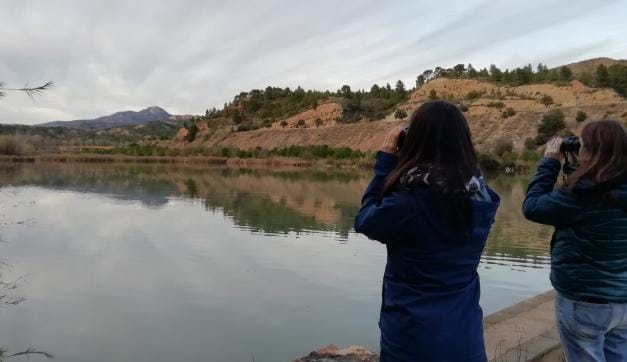 Birding in the Alto turia