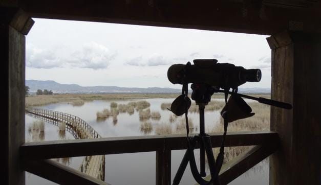 Mirador el Hondo