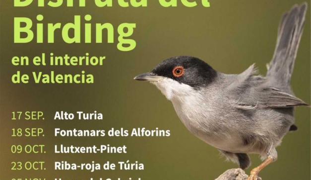 Imagen del cartel de las jornadas de observación de aves o birding