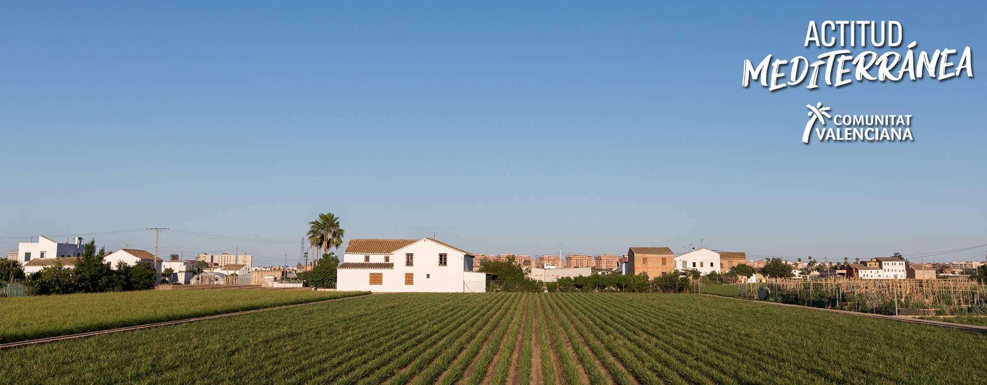  Imatge d'una alqueria en l'horta d'Alboraia	