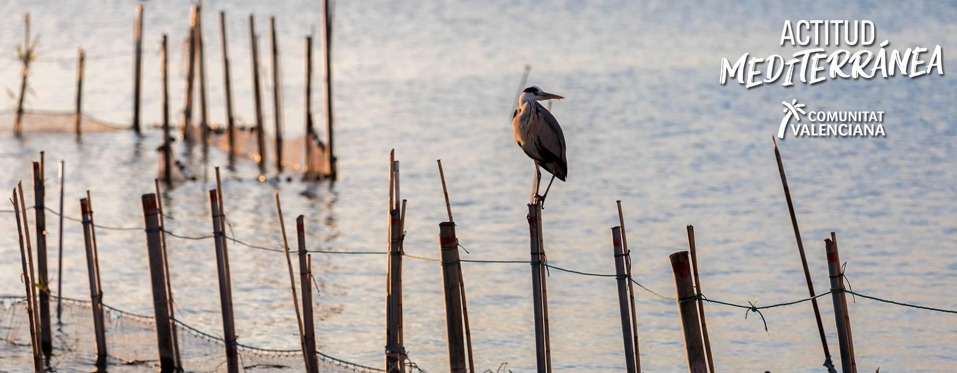  Image Albufera of Valencia	