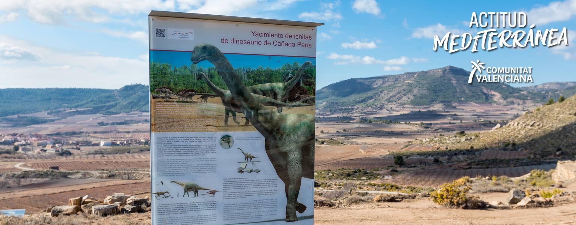Dinosaur footprint site at Corcolilla